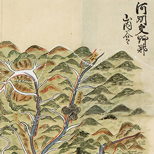 河州交野郡山内谷々