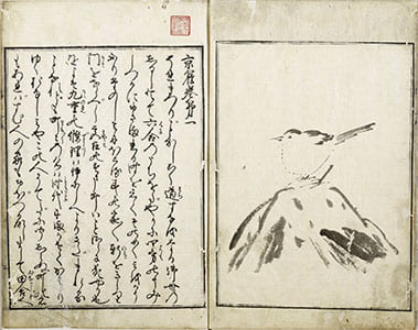 京雀 : 1