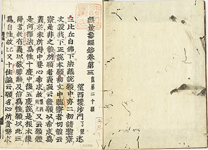 無量壽經鈔 第3