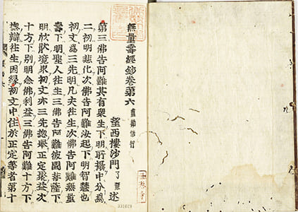 無量壽經鈔 第6