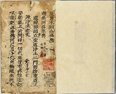 選擇本願念佛集 : [上]